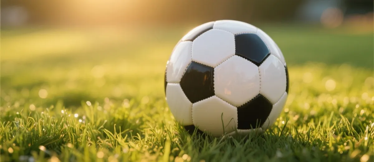 世界杯主题插图：足球与草坪